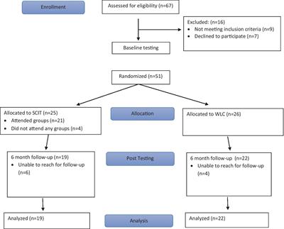Efficacy of social cognition and interaction training in outpatients with schizophrenia spectrum disorders: randomized controlled trial